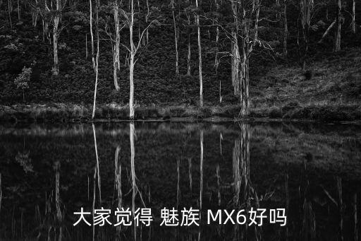 大家覺得 魅族 MX6好嗎