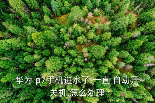 華為 p7手機(jī)進(jìn)水了,一直 自動(dòng)開(kāi)關(guān)機(jī).怎么處理