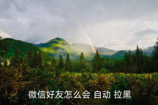  微信好友怎么會 自動 拉黑