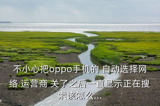 自動選擇運營商 關了,手機沒插好sim卡一直搜索網(wǎng)絡運營商