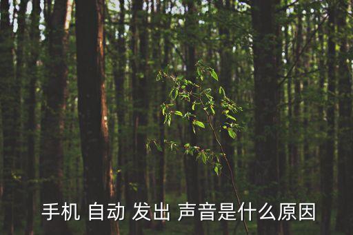  手機(jī) 自動 發(fā)出 聲音是什么原因