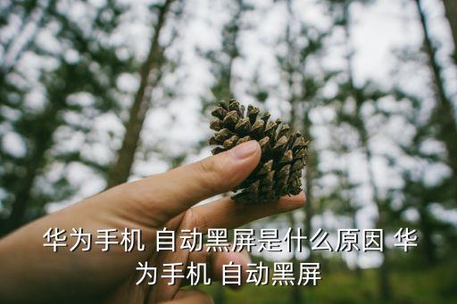  華為手機 自動黑屏是什么原因 華為手機 自動黑屏
