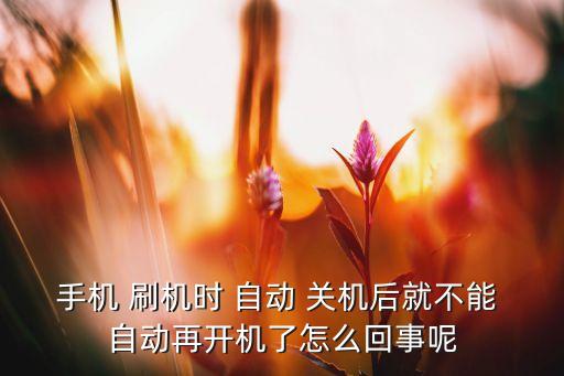 手機 刷機時 自動 關機后就不能 自動再開機了怎么回事呢