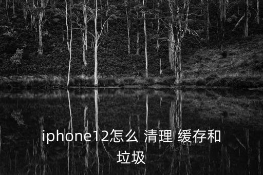 iphone12怎么 清理 緩存和垃圾