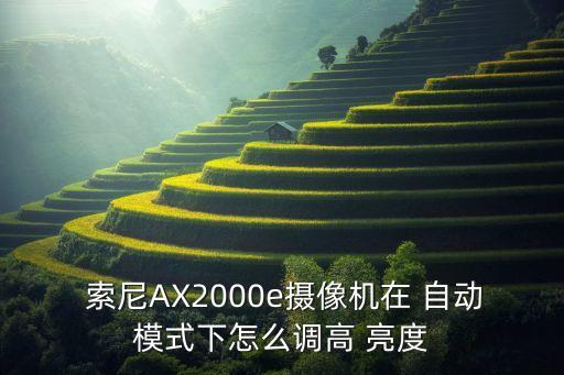  索尼AX2000e攝像機(jī)在 自動(dòng)模式下怎么調(diào)高 亮度