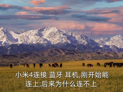 小米4c連接藍(lán)牙耳機(jī)自動(dòng)斷開,藍(lán)牙耳機(jī)故障怎么辦?