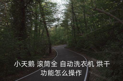  小天鵝 滾筒全 自動洗衣機(jī) 烘干功能怎么操作