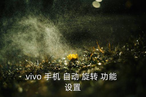 vivo 手機(jī) 自動(dòng) 旋轉(zhuǎn) 功能 設(shè)置