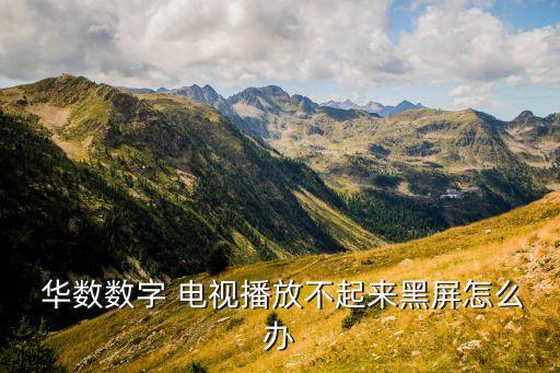  華數(shù)數(shù)字 電視播放不起來黑屏怎么辦