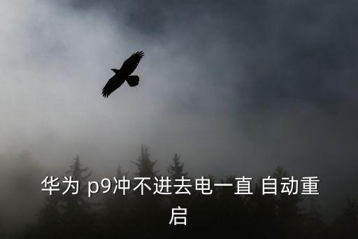 華為 p9沖不進去電一直 自動重啟