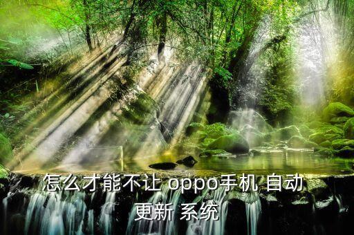怎么才能不讓 oppo手機(jī) 自動(dòng) 更新 系統(tǒng)