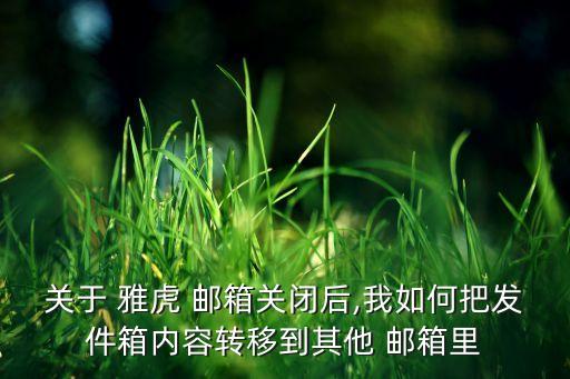 雅虎郵箱設(shè)置自動轉(zhuǎn)發(fā),如何使用標(biāo)準(zhǔn)版郵箱界面?