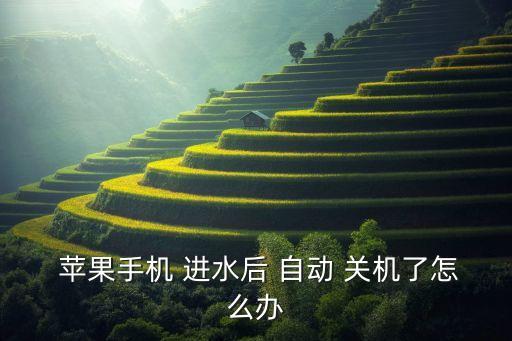 蘋果6s進(jìn)水后自動(dòng)關(guān)機(jī),蘋果手機(jī)進(jìn)水怎么辦?三件事你要做!