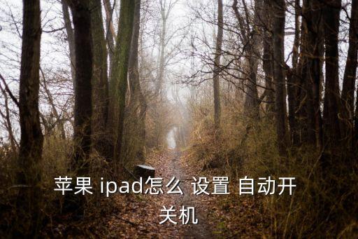 蘋果 ipad怎么 設(shè)置 自動(dòng)開 關(guān)機(jī)