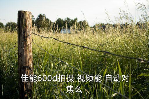 佳能拍視頻自動(dòng)對(duì)焦嗎,佳能70d機(jī)器自動(dòng)對(duì)焦視頻如何進(jìn)行?