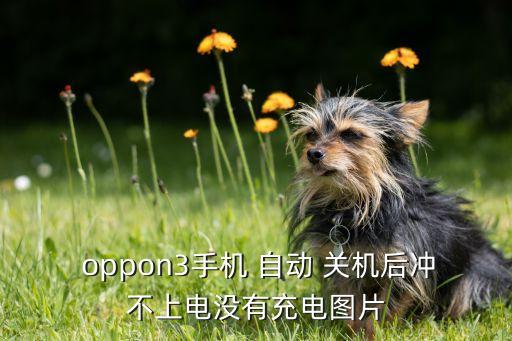 oppon3自動(dòng)關(guān)機(jī),韓國(guó)單日新增病例回跌到400起以下