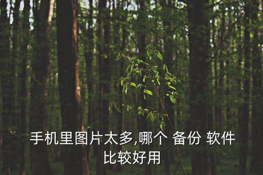  手機(jī)里圖片太多,哪個(gè) 備份 軟件比較好用