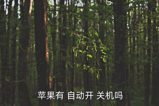  蘋果有 自動開 關(guān)機(jī)嗎