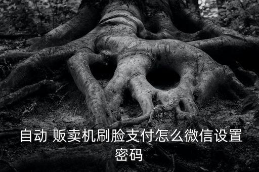  自動(dòng) 販賣機(jī)刷臉支付怎么微信設(shè)置密碼