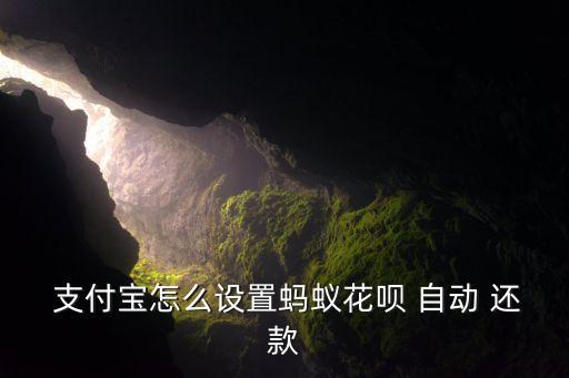  支付寶怎么設(shè)置螞蟻花唄 自動 還款