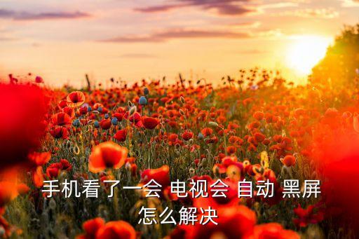  手機(jī)看了一會(huì) 電視會(huì) 自動(dòng) 黑屏怎么解決