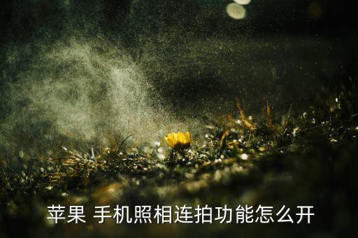 蘋果手機(jī)自動連續(xù)拍照,蘋果手機(jī)怎么拍照?
