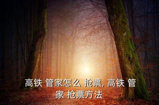 高鐵 管家怎么 搶票, 高鐵 管家 搶票方法