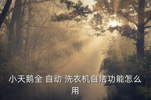小天鵝全 自動 洗衣機自潔功能怎么用