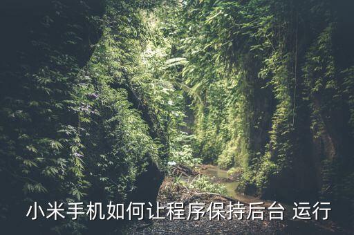小米設(shè)置自動運行,安卓應(yīng)用如何進行自啟動管理
