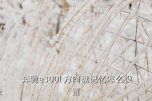 奔馳有自動方向盤嗎,三種不同配置方向盤各有千秋