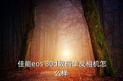 佳能80d全自動檔,佳能eos80d定奪婚禮專用鏡頭