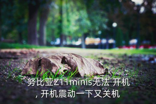  努比亞Z11minis無法 開機, 開機震動一下又關(guān)機