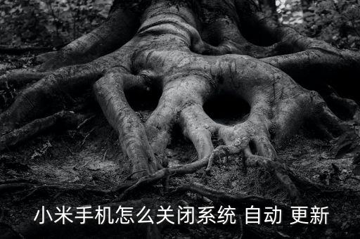 取消小米8自動(dòng)下載更新,關(guān)閉手機(jī)后臺(tái)自動(dòng)更新系統(tǒng)方法:1