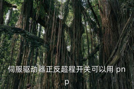 伺服驅(qū)動(dòng)器正反超程開(kāi)關(guān)可以用 pnp