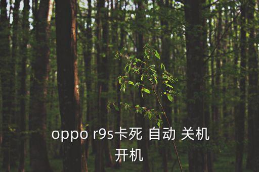  oppo r9s卡死 自動(dòng) 關(guān)機(jī)開(kāi)機(jī)