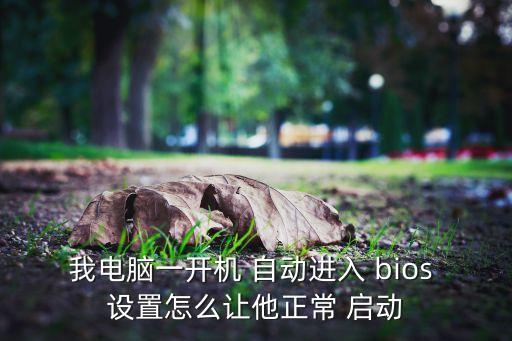 我電腦一開機(jī) 自動(dòng)進(jìn)入 bios 設(shè)置怎么讓他正常 啟動(dòng)