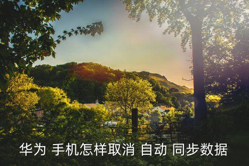 如何關(guān)閉手機自動同步,手機應用程序如何進行安全提醒!