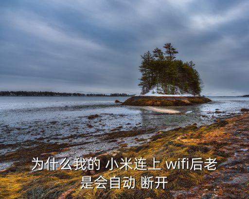 小米note wifi自動(dòng)斷開(kāi)連接,如何使用小米手機(jī)?