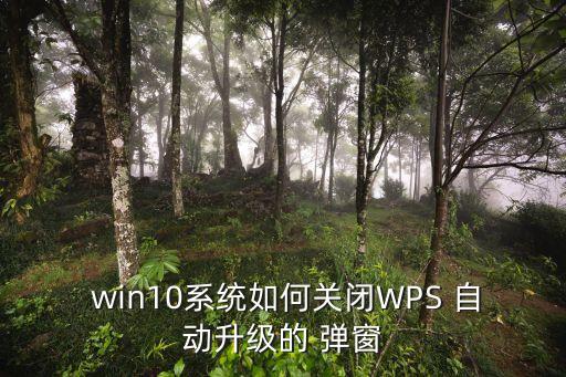  win10系統(tǒng)如何關(guān)閉WPS 自動升級的 彈窗