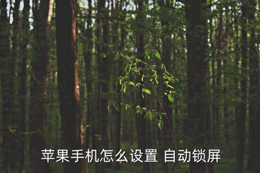  蘋果手機怎么設置 自動鎖屏