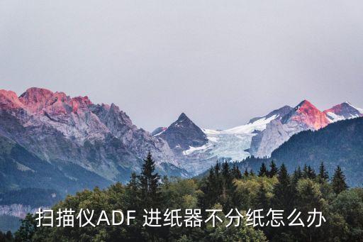 掃描儀ADF 進紙器不分紙怎么辦