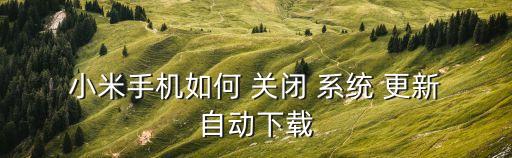  小米手機(jī)如何 關(guān)閉 系統(tǒng) 更新 自動(dòng)下載