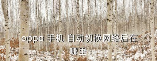oppo手機(jī)自動(dòng)掉網(wǎng),雙卡智能切換系統(tǒng)推出哪些版本受歡迎?