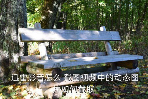  迅雷影音怎么 截圖視頻中的動(dòng)態(tài)圖片如何截取