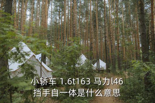 小轎車(chē) 1.6t163 馬力l46擋手自一體是什么意思