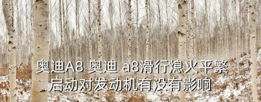  奧迪A8 奧迪 a8滑行熄火平繁啟動(dòng)對(duì)發(fā)動(dòng)機(jī)有沒有影響