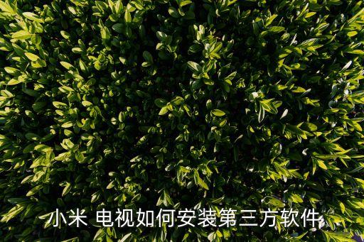  小米 電視如何安裝第三方軟件