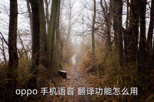 手機(jī)通話自動(dòng)翻譯,華為手機(jī)功能也有語音翻譯功能