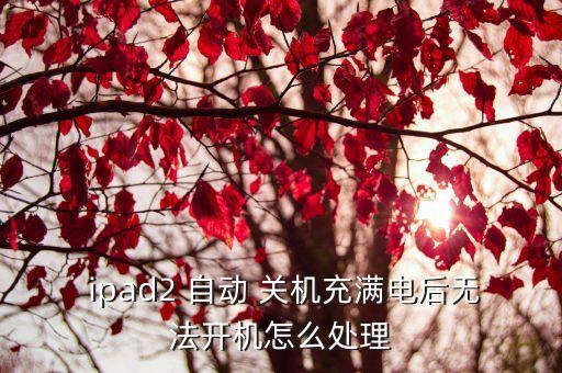  ipad2 自動 關(guān)機充滿電后無法開機怎么處理