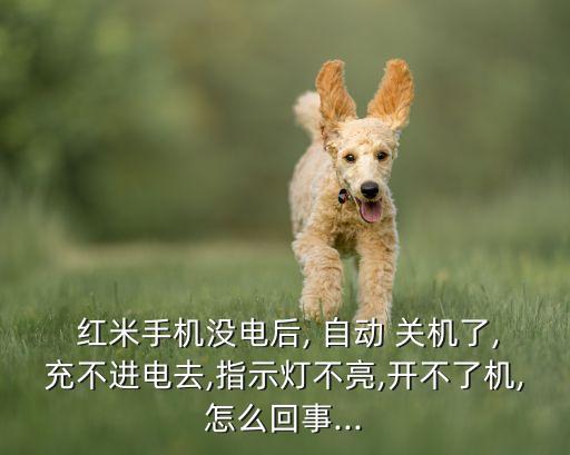  紅米手機沒電后, 自動 關(guān)機了,充不進電去,指示燈不亮,開不了機,怎么回事...